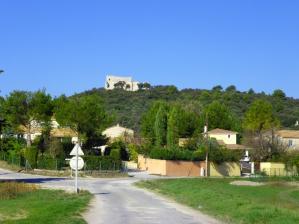 photo-entre-vignobles-paysage