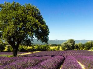 photo-autour-du-luberon