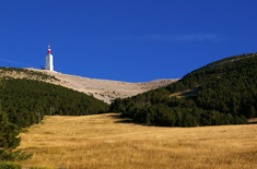 bedoin-location.fr - BEDOIN ET SES ENVIRONS