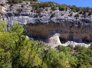 bedoin-location.fr - BEDOIN ET SES ENVIRONS